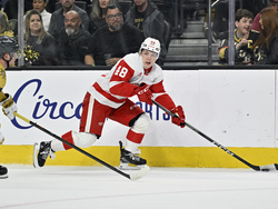 Red Wings Golden Knights Hockey