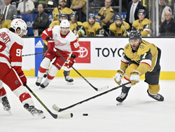 Red Wings Golden Knights Hockey