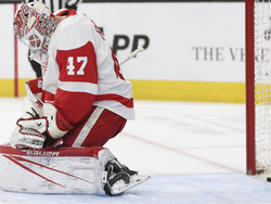 Red Wings Golden Knights Hockey