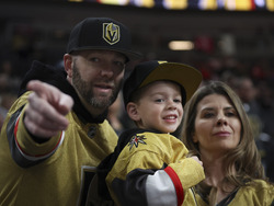 Red Wings Golden Knights Hockey
