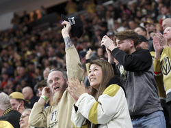 Red Wings Golden Knights Hockey