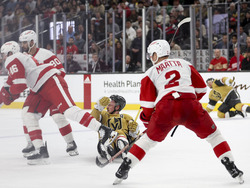 Red Wings Golden Knights Hockey