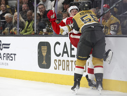 Red Wings Golden Knights Hockey