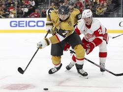 Red Wings Golden Knights Hockey