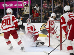 Red Wings Golden Knights Hockey