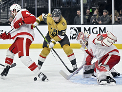 Red Wings Golden Knights Hockey