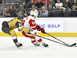 Red Wings Golden Knights Hockey