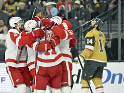 Red Wings Golden Knights Hockey