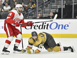 Red Wings Golden Knights Hockey