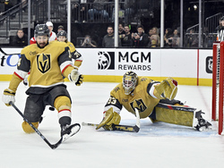 Red Wings Golden Knights Hockey