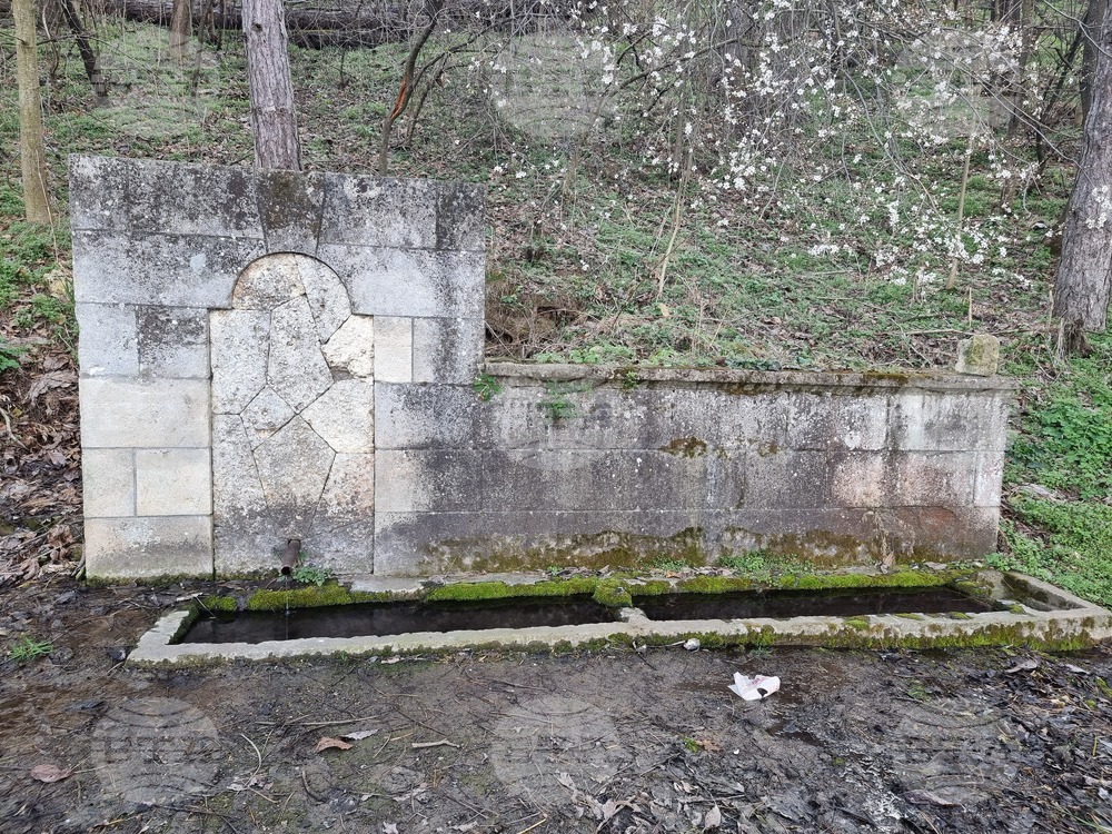 Качеството на питейната вода в област Разград отговаря на стандартите, според здравните експерти