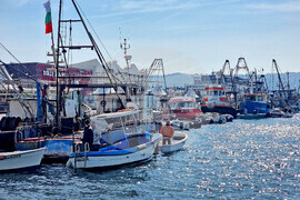 Варна - рибари - протест