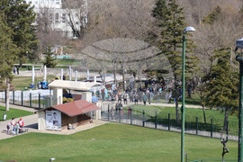 Добрич - бдение