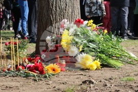 Добрич - бдение