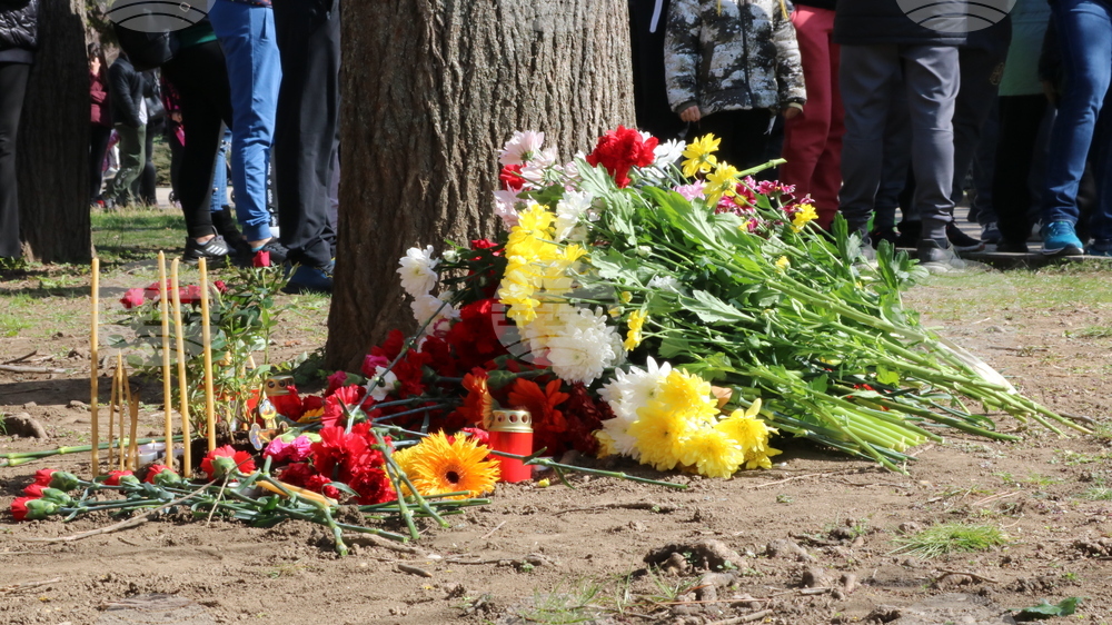 Добрич - бдение