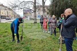 Кърджали - Ротаракт - залесяване