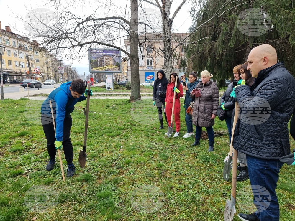 Кърджали - Ротаракт - залесяване