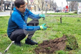 Кърджали - Ротаракт - залесяване