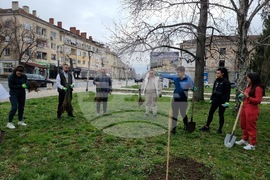 Кърджали - Ротаракт - залесяване