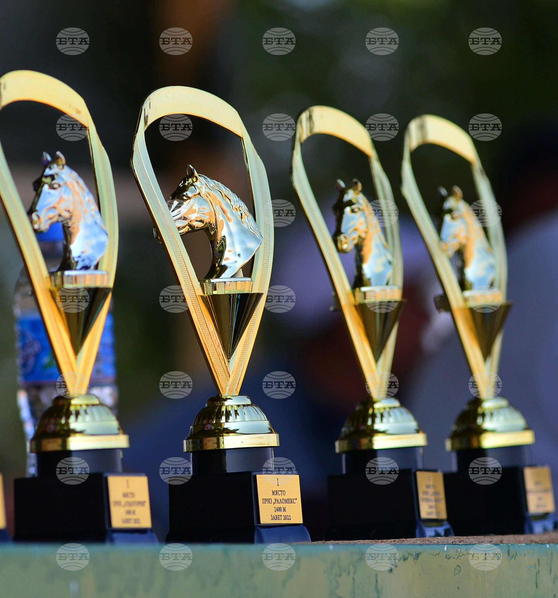 Завет - конни надбягвания