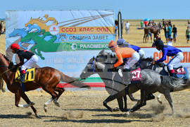 Завет - конни надбягвания