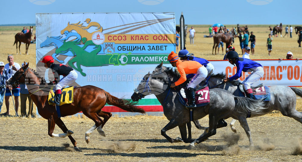 Завет - конни надбягвания