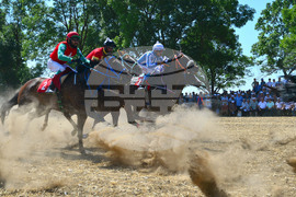Завет - конни надбягвания