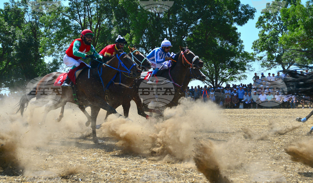 Завет - конни надбягвания