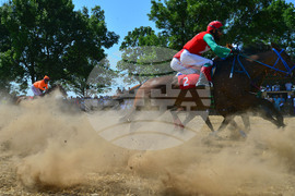 Завет - конни надбягвания