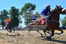 Завет - конни надбягвания