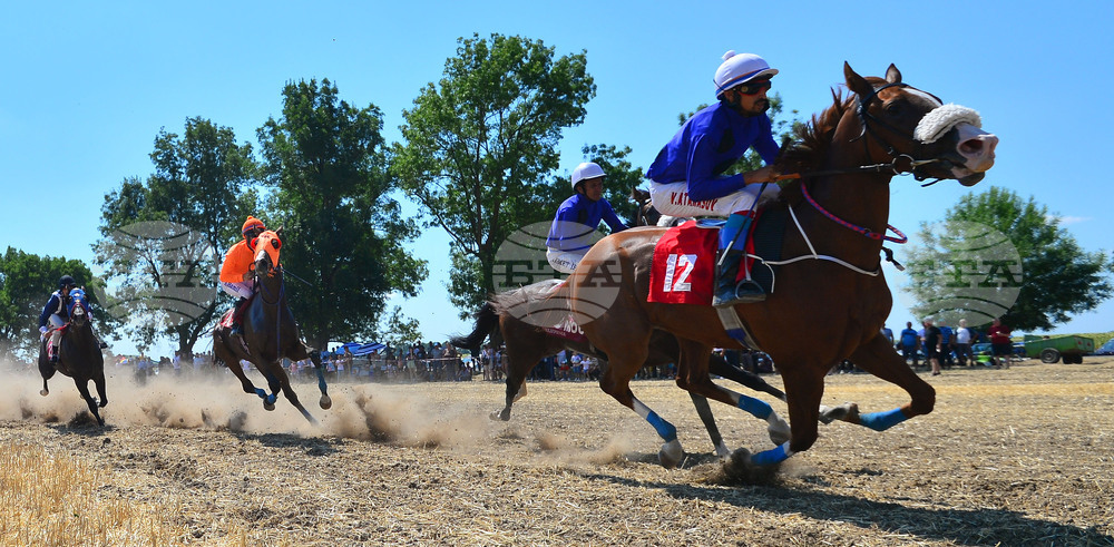 Завет - конни надбягвания