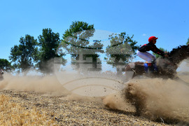 Завет - конни надбягвания