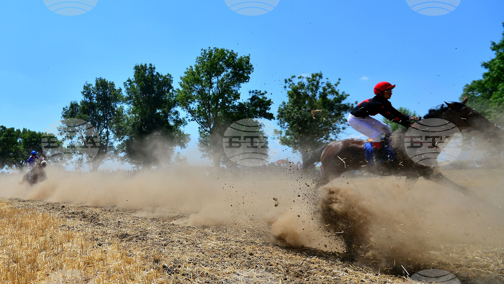 Завет - конни надбягвания