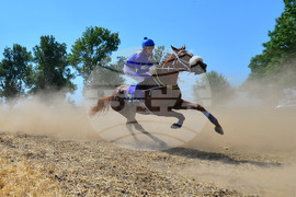 Завет - конни надбягвания