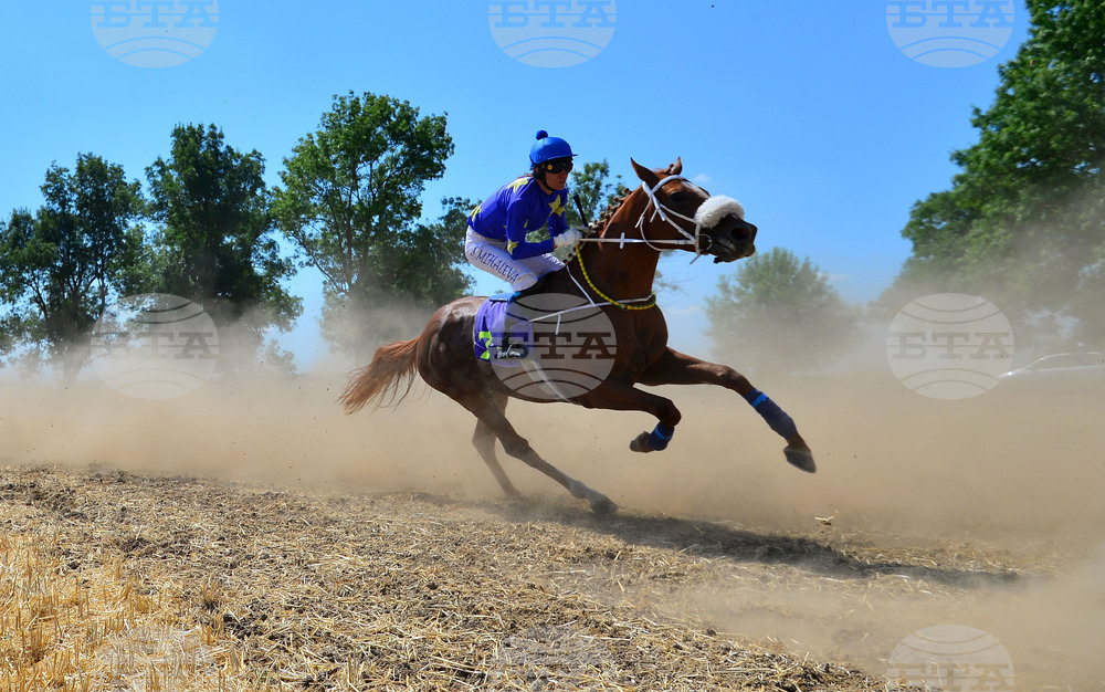 Завет - конни надбягвания