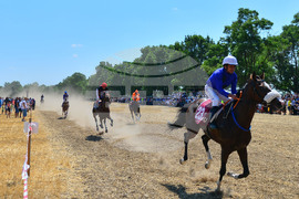 Завет - конни надбягвания