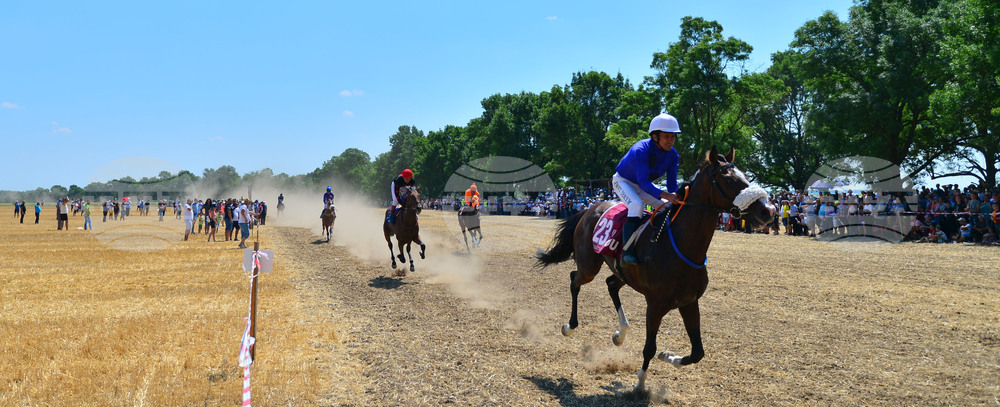 Завет - конни надбягвания