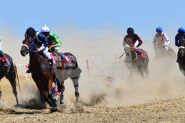 Завет - конни надбягвания