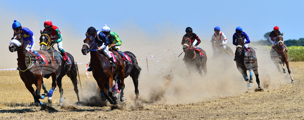 Завет - конни надбягвания