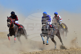 Завет - конни надбягвания