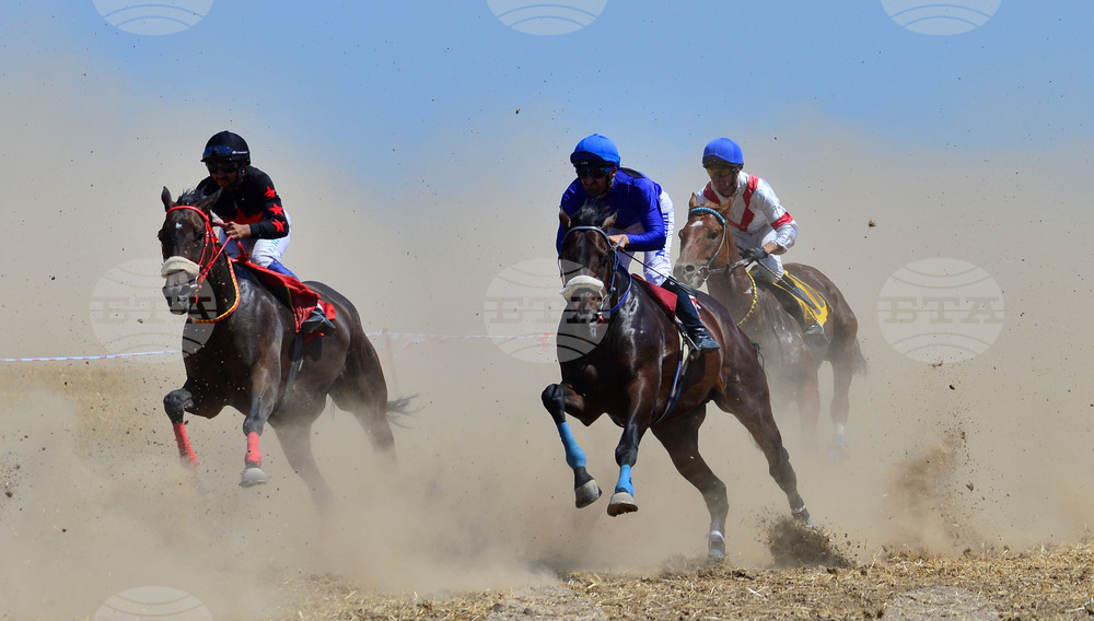 Завет - конни надбягвания