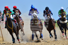 Завет - конни надбягвания