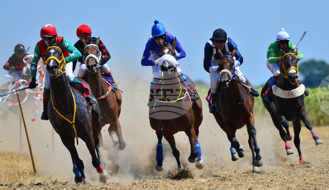 Завет - конни надбягвания