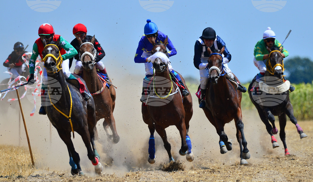 Завет - конни надбягвания