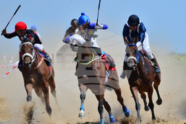 Завет - конни надбягвания