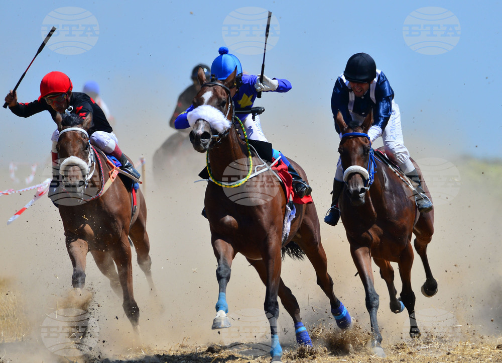Завет - конни надбягвания