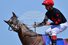 Завет - конни надбягвания