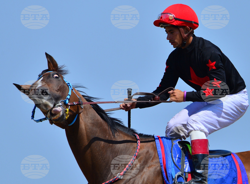 Завет - конни надбягвания