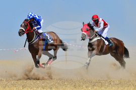 Завет - конни надбягвания