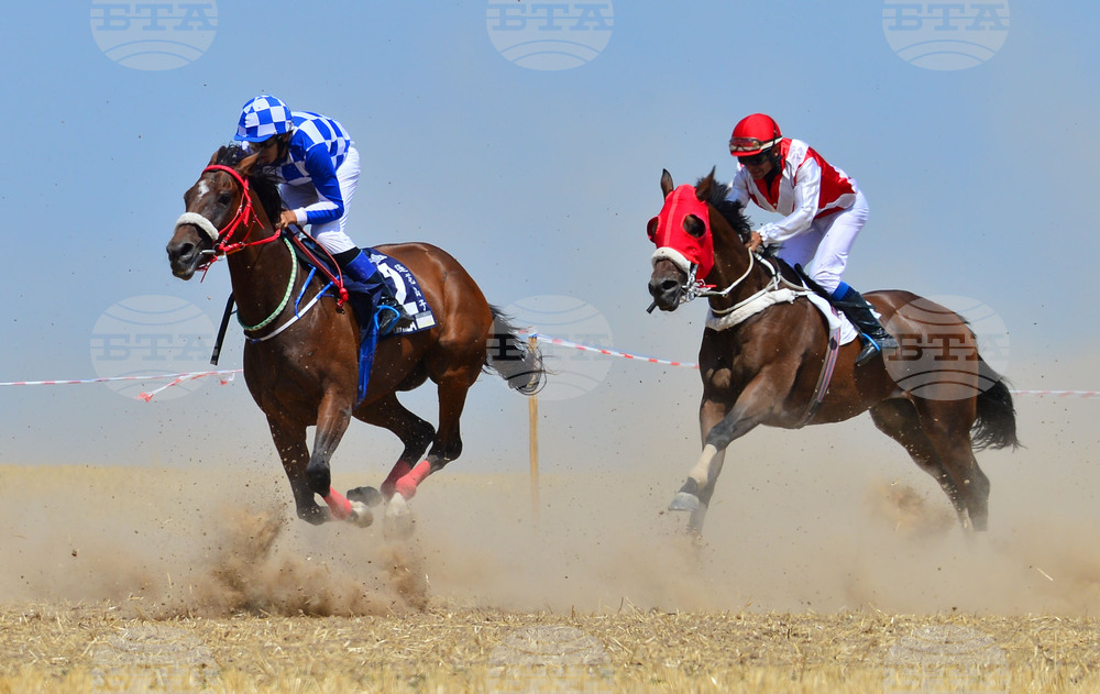 Завет - конни надбягвания